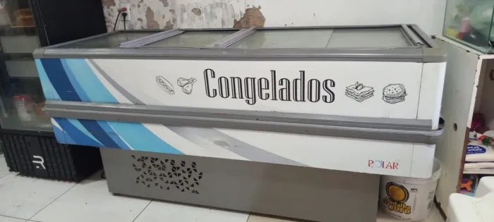 vivendo ilha de congelados perfeito congelamento