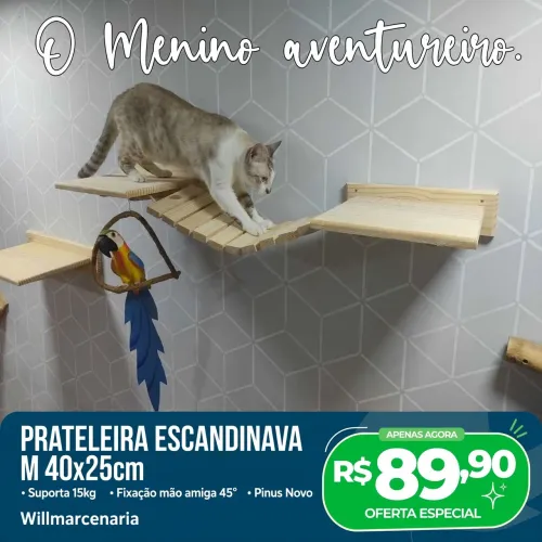 Gatificação, casinha e parquinho de gatos