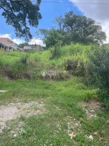 Terreno a venda no bairro Medianeira em Porto Alegre