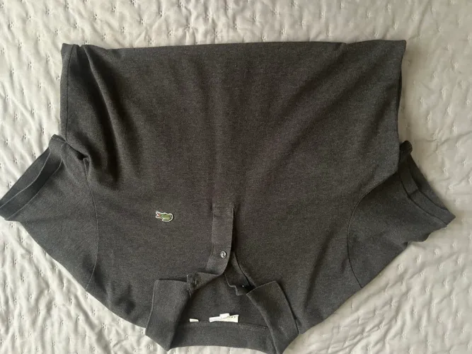 Polo Lacoste cinza