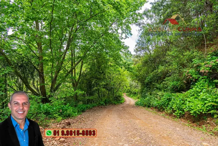 Sítio à Venda em São Francisco de Paula - RS