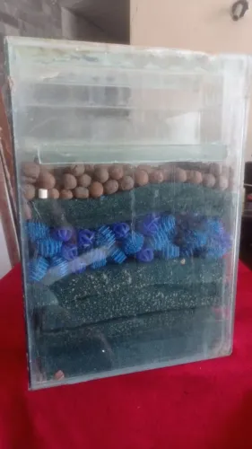 aquario