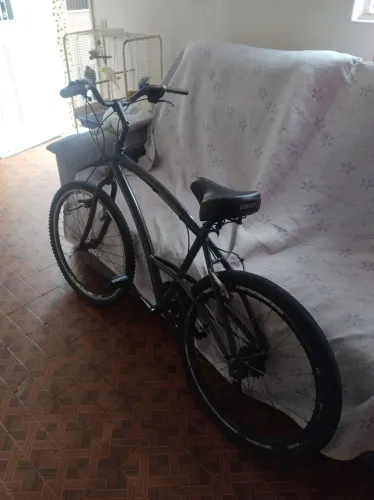 Bicicleta kaloi 100