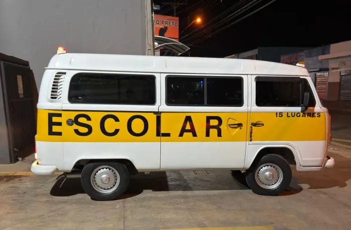 Volkswagen Kombi Escolar/50 Anos 1.4 MI Total Flex 2011