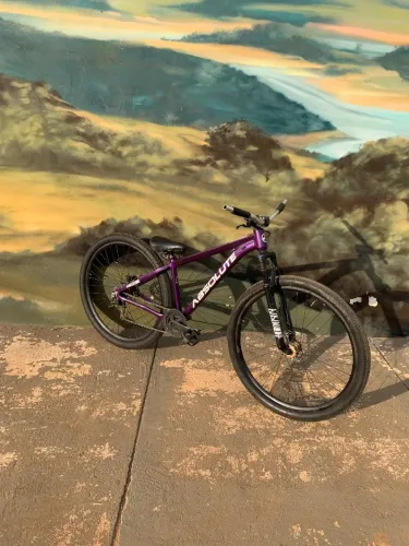 Bicicleta