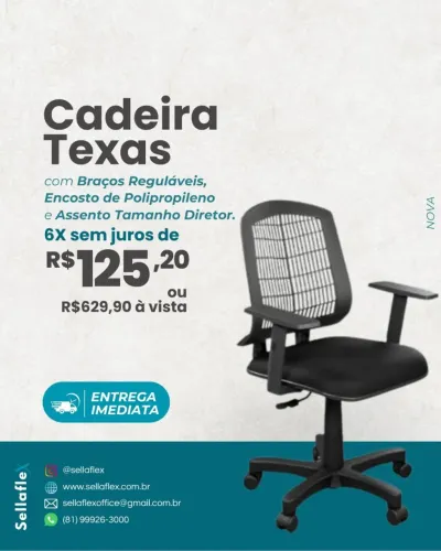 Cadeira Diretor Encosto 