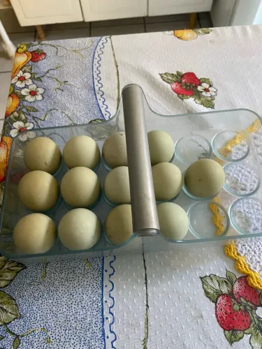 Vendo ovos de galinha caipira com galo balão