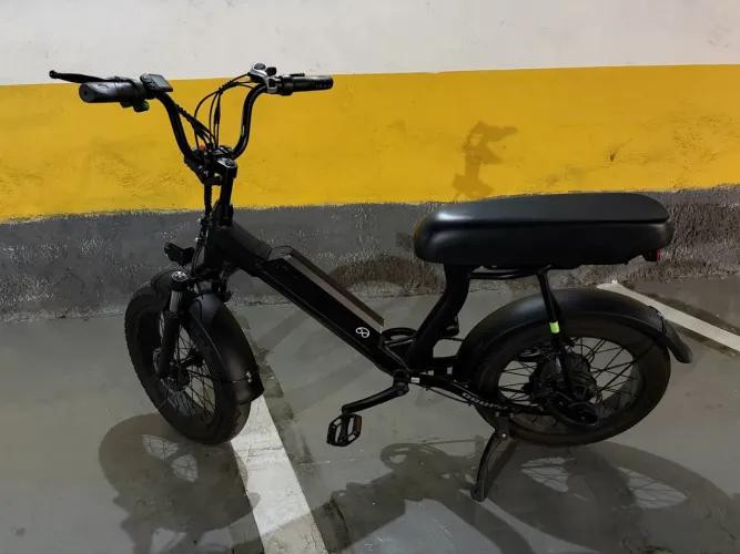 Bike Lev Cruiser
