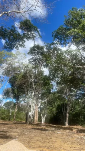 Sítio no parque esperança