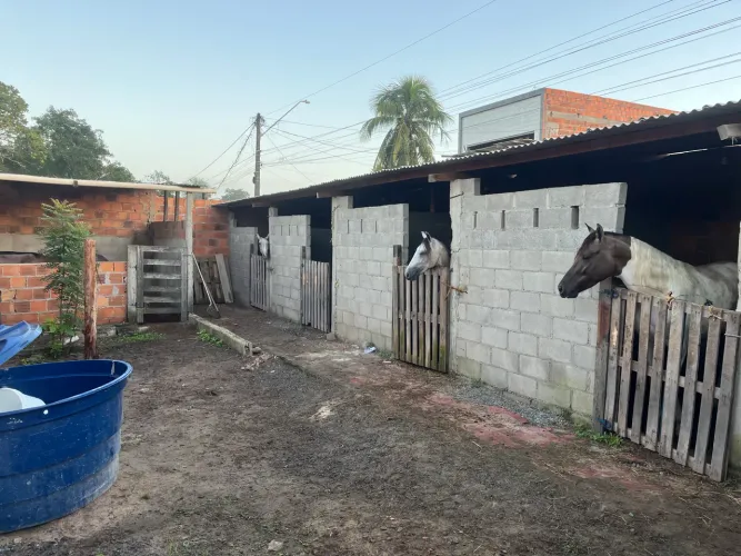 Baias para cavalo