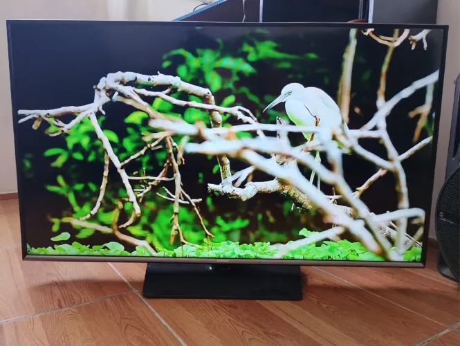 Tv Samsung smart 43 polegadas muito nova imagem perfeita