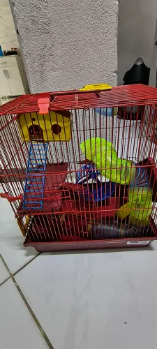 Gaiola para hamster