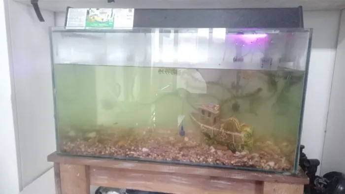 Aquario 80L