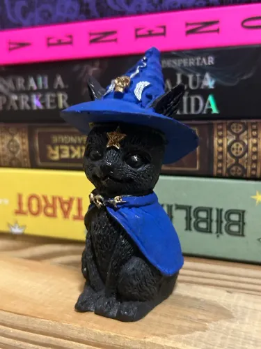 gatinho esotérico da capa azul 