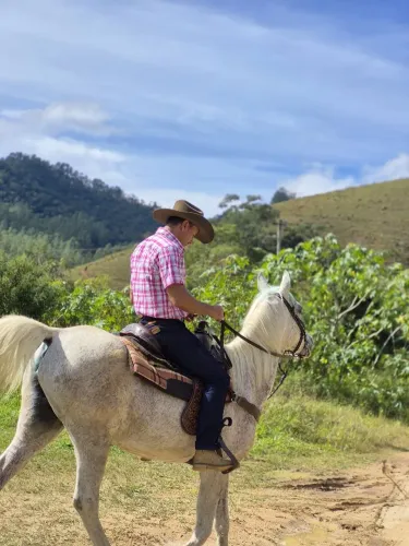 Égua árabe