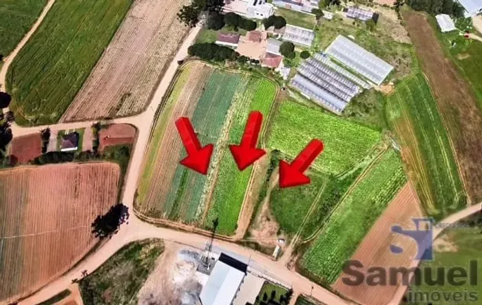 TERRENO MURICI 9.000,00m²