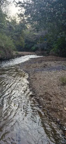 Terreno de 1 Hectare (10.000 m²) à Venda - Excelente Oportunidade