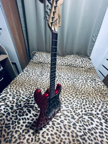Caixa de guitarra/ guitarra