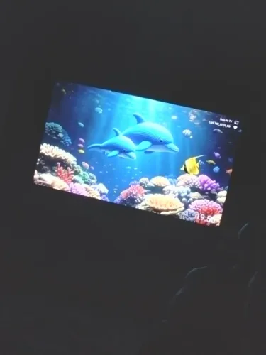 Tv 65