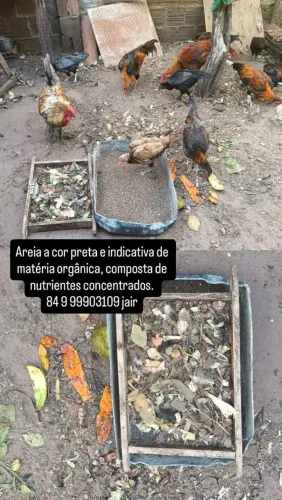 Área preta pra jardim rica em nutrientes concentrado.