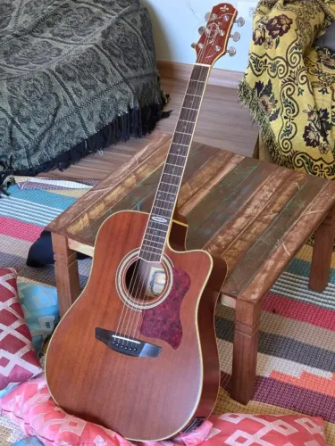 Violão Strinberg SD-20C