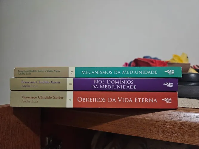Kit livros André Luiz