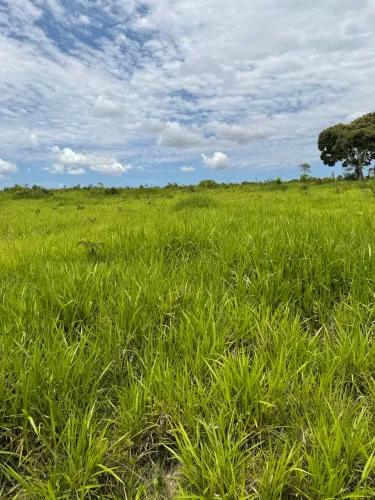 Fazenda norte minas próximo a urucuia e Pintopolis