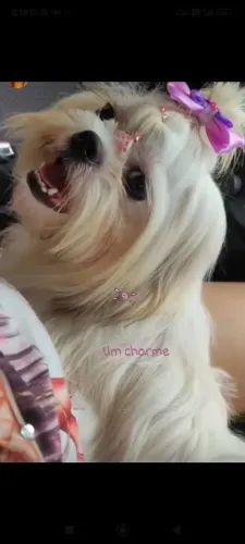 Procura-se um namorado