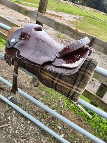 Encilha
