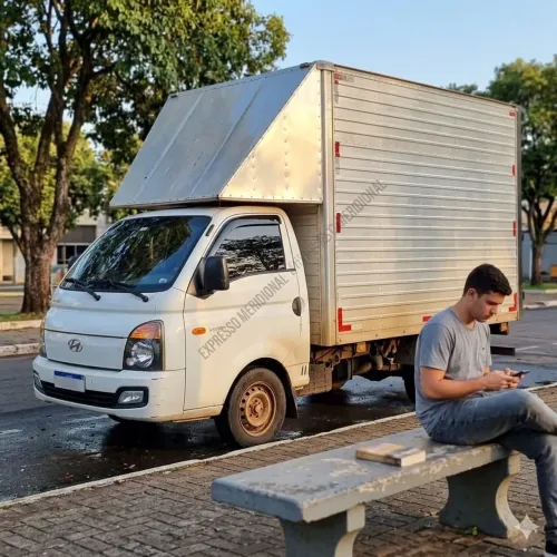 Frete mudança Goiânia e região