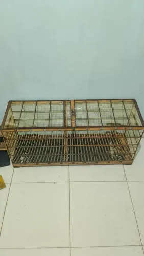 Voador de 1 metro 