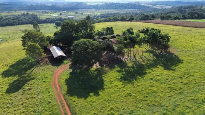 Itapetininga sitio 12 alqueires Formado em pasto Curral Barracao Balança e brete Casa de c