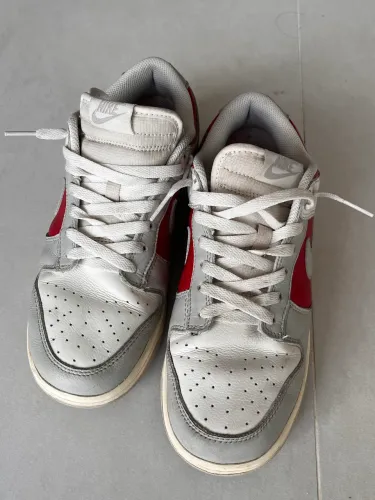 Nike Dunk Low Retro