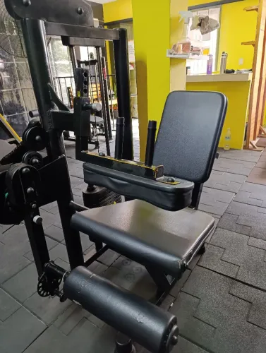 Cadeira flexora e extensora 