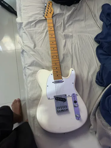Guitarra Telecaster Tagima tw 55