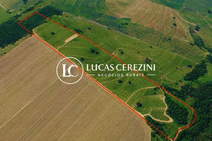11.2 Alqueires em cana para a Usina COFCO