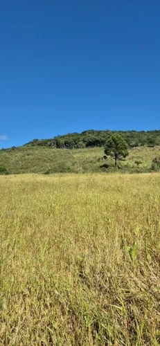 Terreno rural a venda