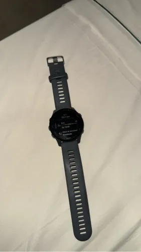 Garmin Forerunner 255