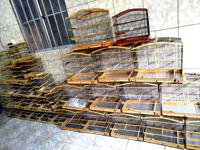 Trabalhamos com vários modelos de gaiolas 