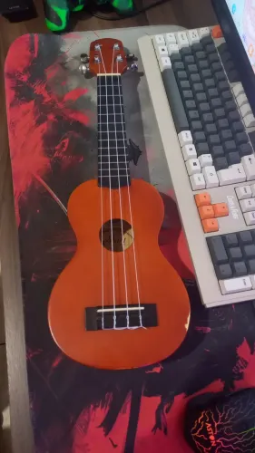 Ukulele Conservado - Ideal para Iniciantes<br><br>Músico