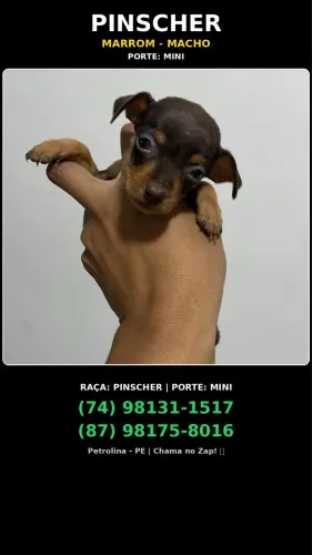 Pincher