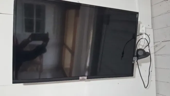 Televisão