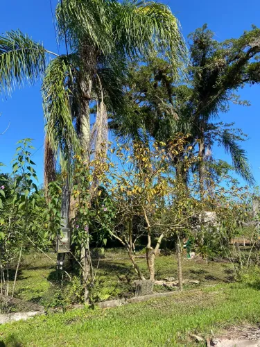 Terreno na Praia de Matinhos
