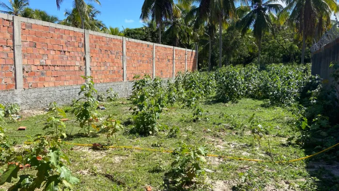 Terreno na lagoa redonda Pirambu se