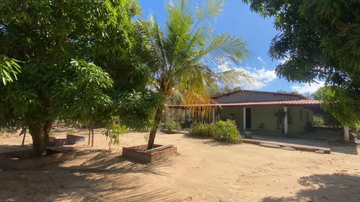 Fazenda 66 hectares 140km de Teresina