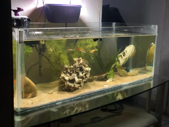 AQUÁRIO 45L