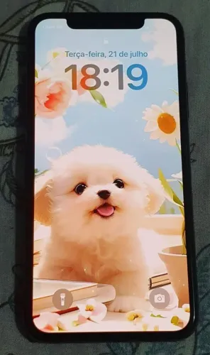 iPhone XS