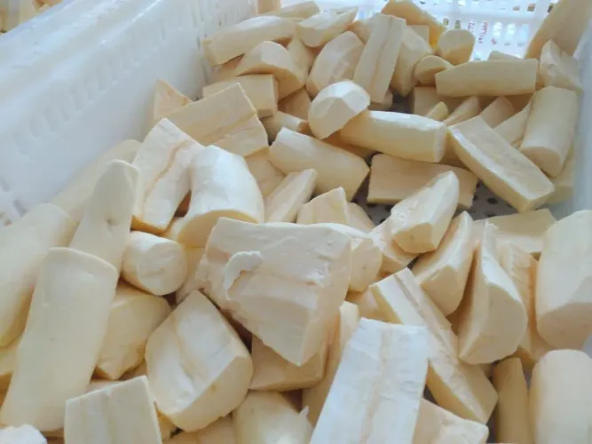 Vende-se mandioca descascada 4.70 kg