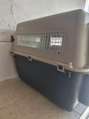 Caixa de Transporte para Cachorro Grande - Usada
