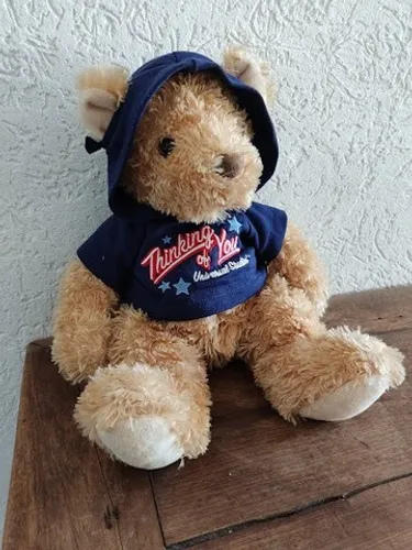 Urso Ursinho De Pelúcia Thinking of You Com Capuz Da Universal Studios Importado